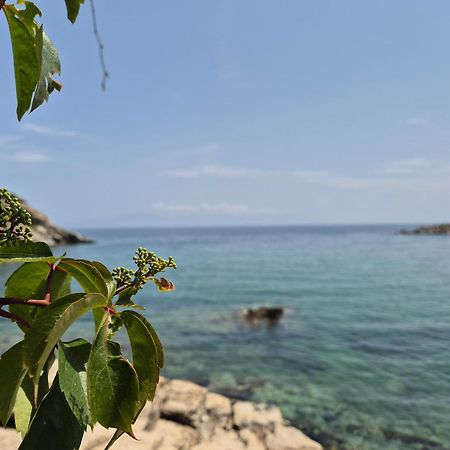 Beach Apartment Palaiontsiflikion Luaran gambar